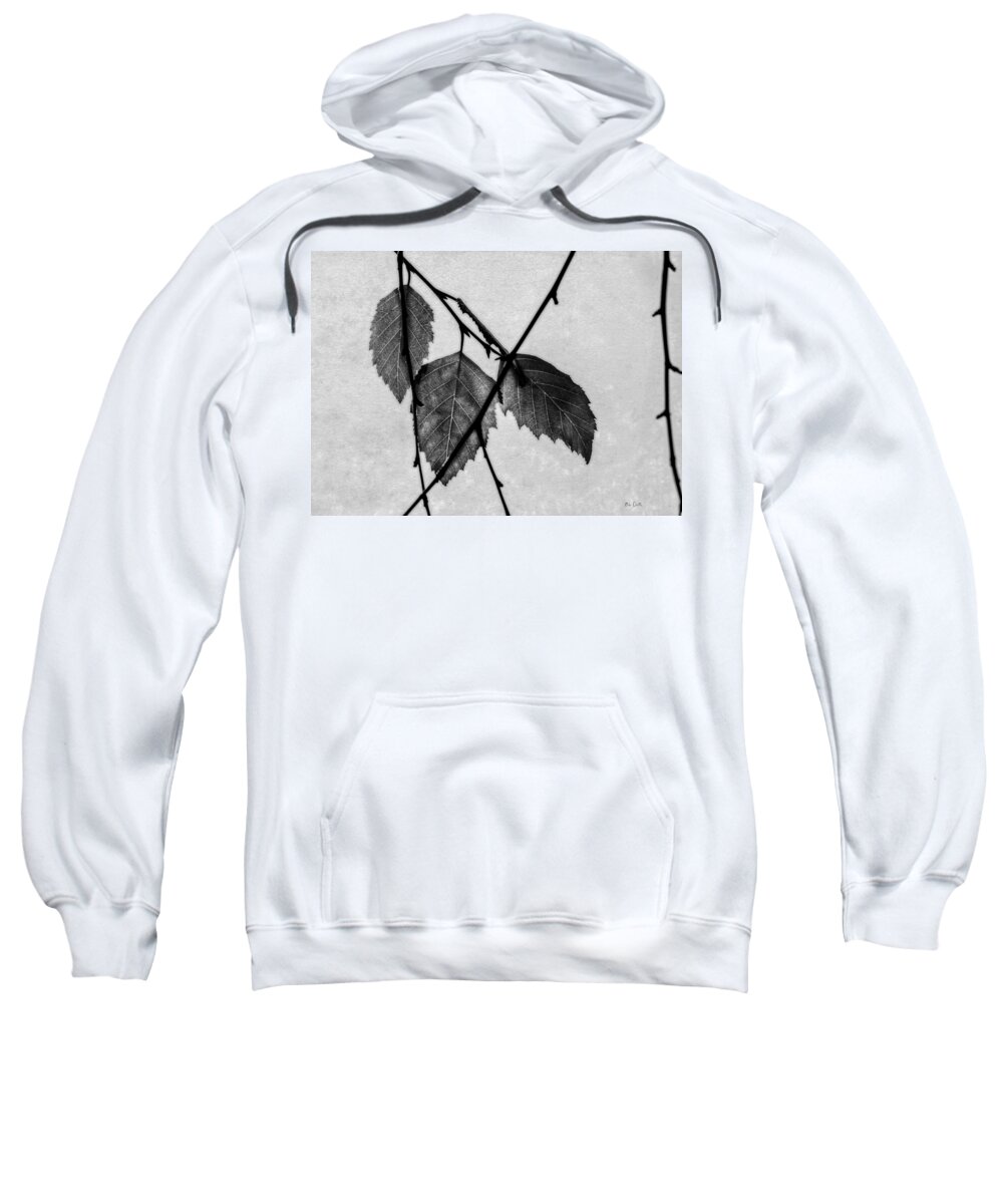 Leaf Sweatshirt featuring the photograph Rule Of Three by Bob Orsillo