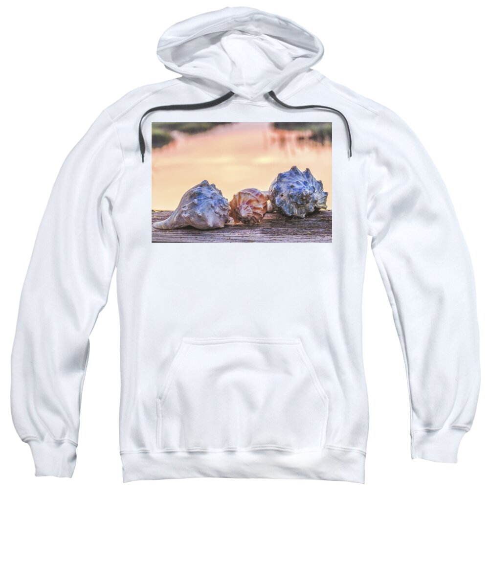 Shell Sweatshirt featuring the photograph Sea Shells Image Art by Jo Ann Tomaselli