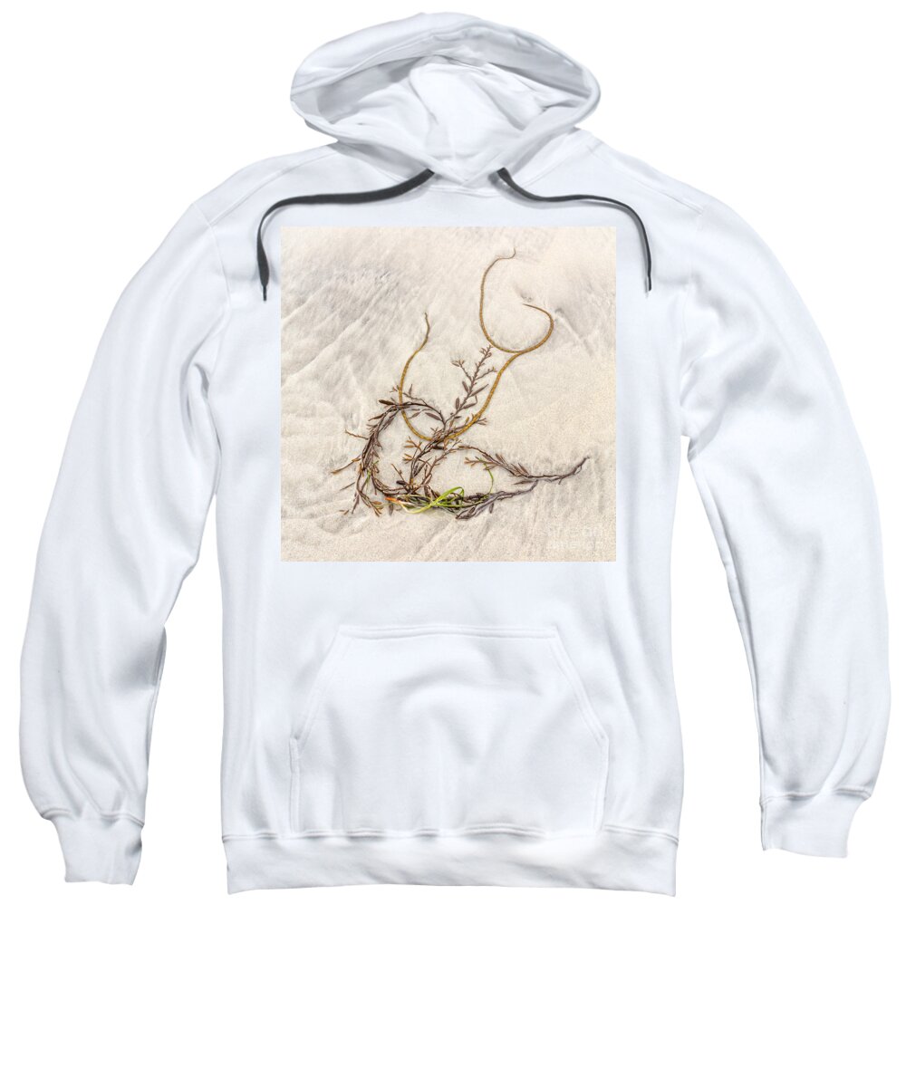 Scotland Sweatshirt featuring the photograph Seaweed by Richard Burdon