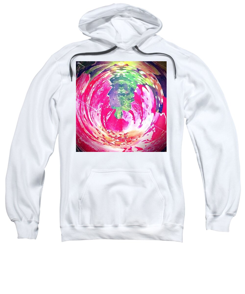 Rose Sweatshirt featuring the photograph Seeing Things As They Are by Anna Porter
