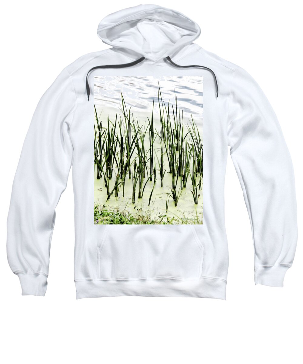 Reeds Canvas Print Sweatshirt featuring the photograph Slender Reeds by Lucy VanSwearingen