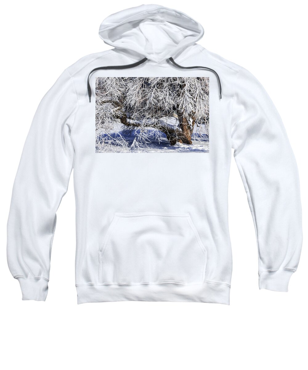 Winter Sweatshirt featuring the photograph Snow and Ice covered Tree by Randall Nyhof