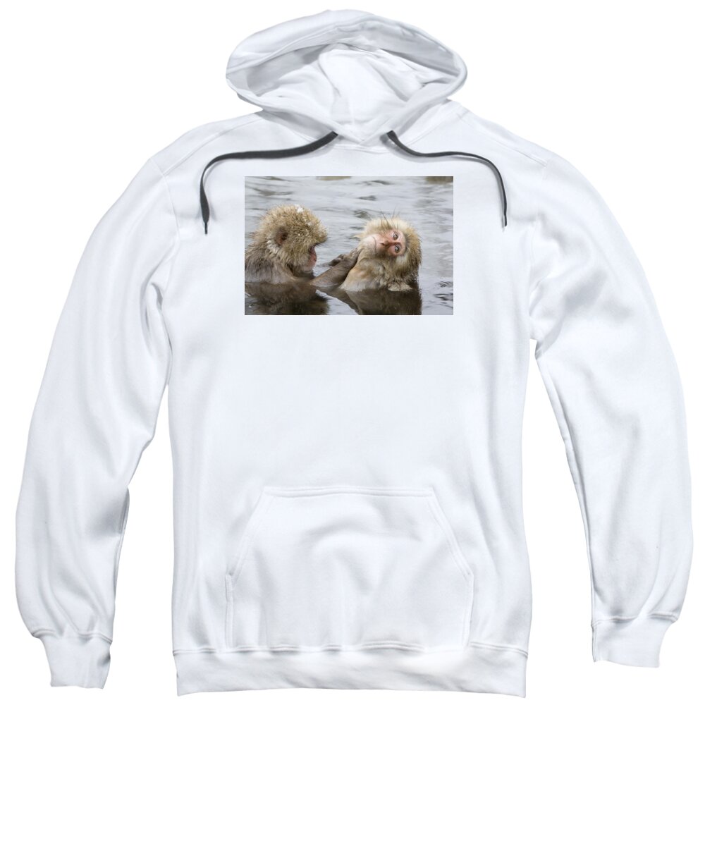 Flpa Sweatshirt featuring the photograph Snow Monkeys Grooming by Dickie Duckett