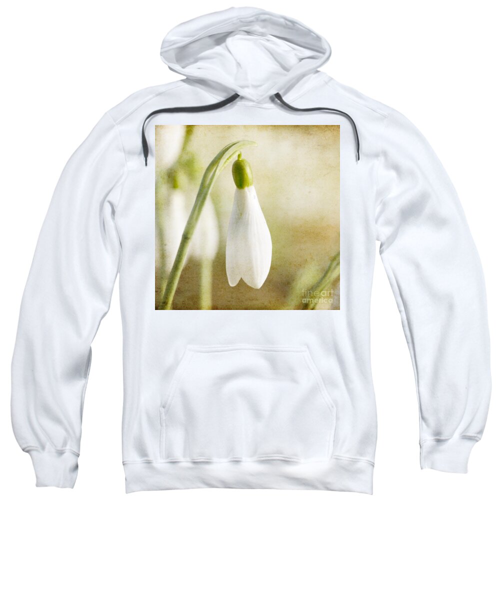 Snowdrop Sweatshirt featuring the photograph Snowdrop textured by Steev Stamford