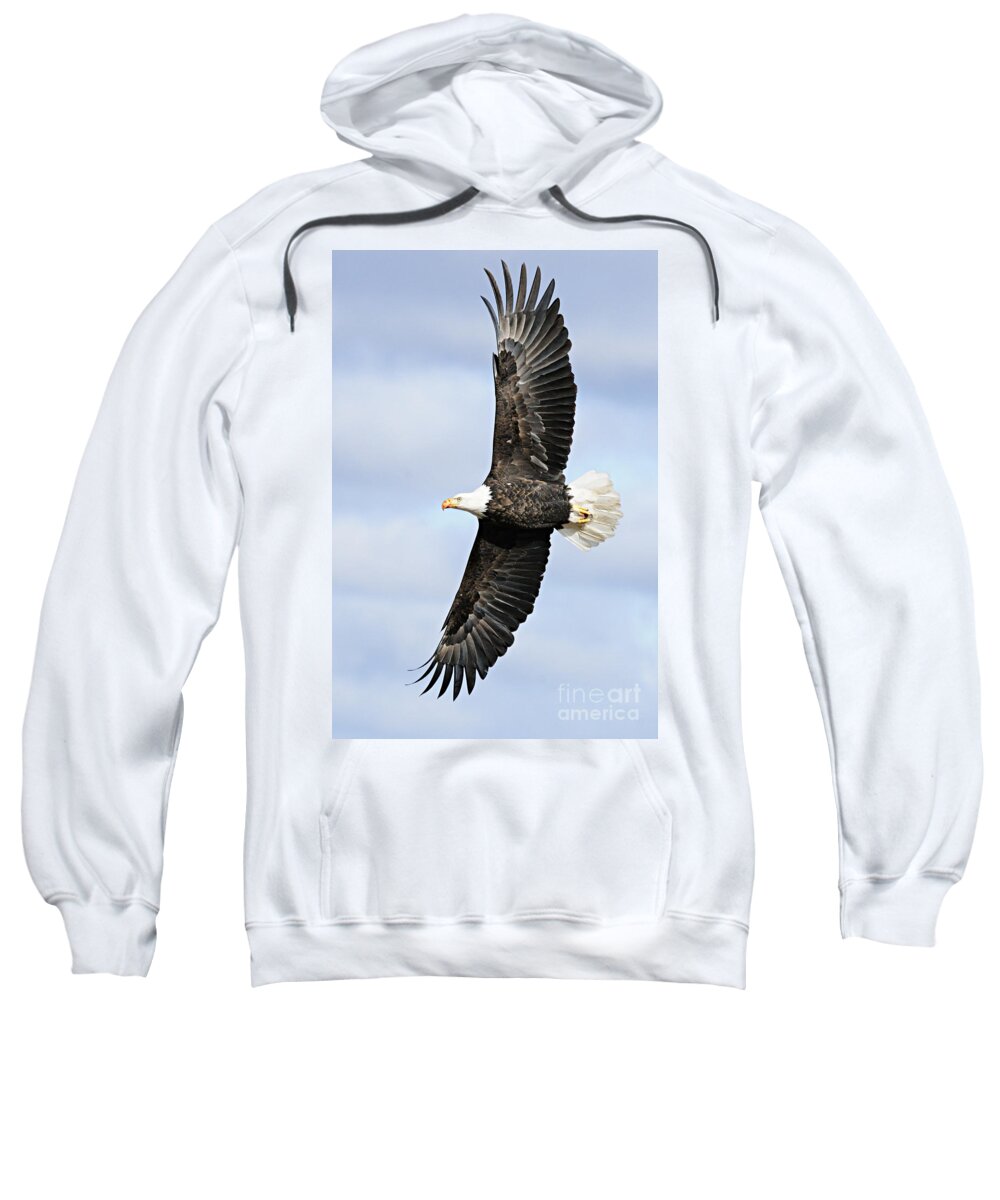 Photography Sweatshirt featuring the photograph Soaring Eagle by Larry Ricker