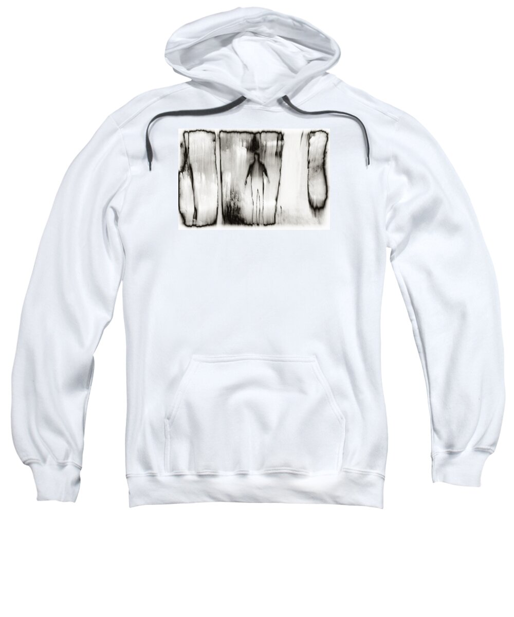 Identity Sweatshirt featuring the photograph Who Am I by Jim Cook