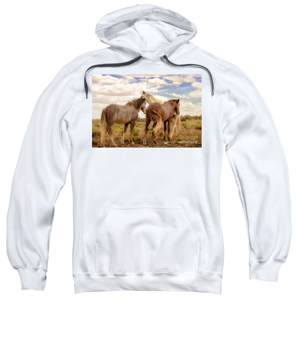 Southwest Wild Horses With White Stallion On Navajo Indian Reservation In New Mexico Sweatshirt featuring the photograph Wild Horses With White Stallion On Navajo Indian Reservation by Jerry Cowart