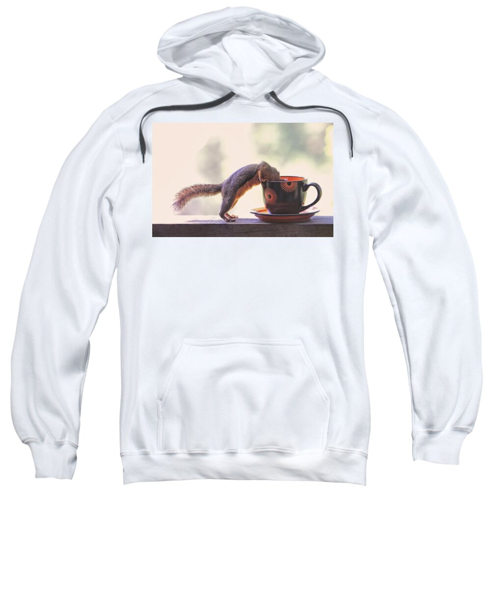 Squirrels Sweatshirt featuring the photograph Squirrel and Coffee by Peggy Collins