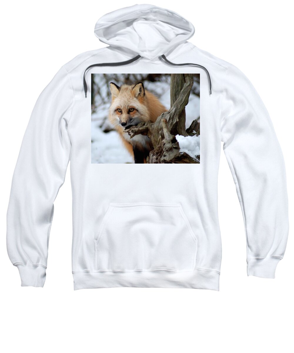 Fox Sweatshirt featuring the photograph Stunning Sierra by Richard Bryce and Family