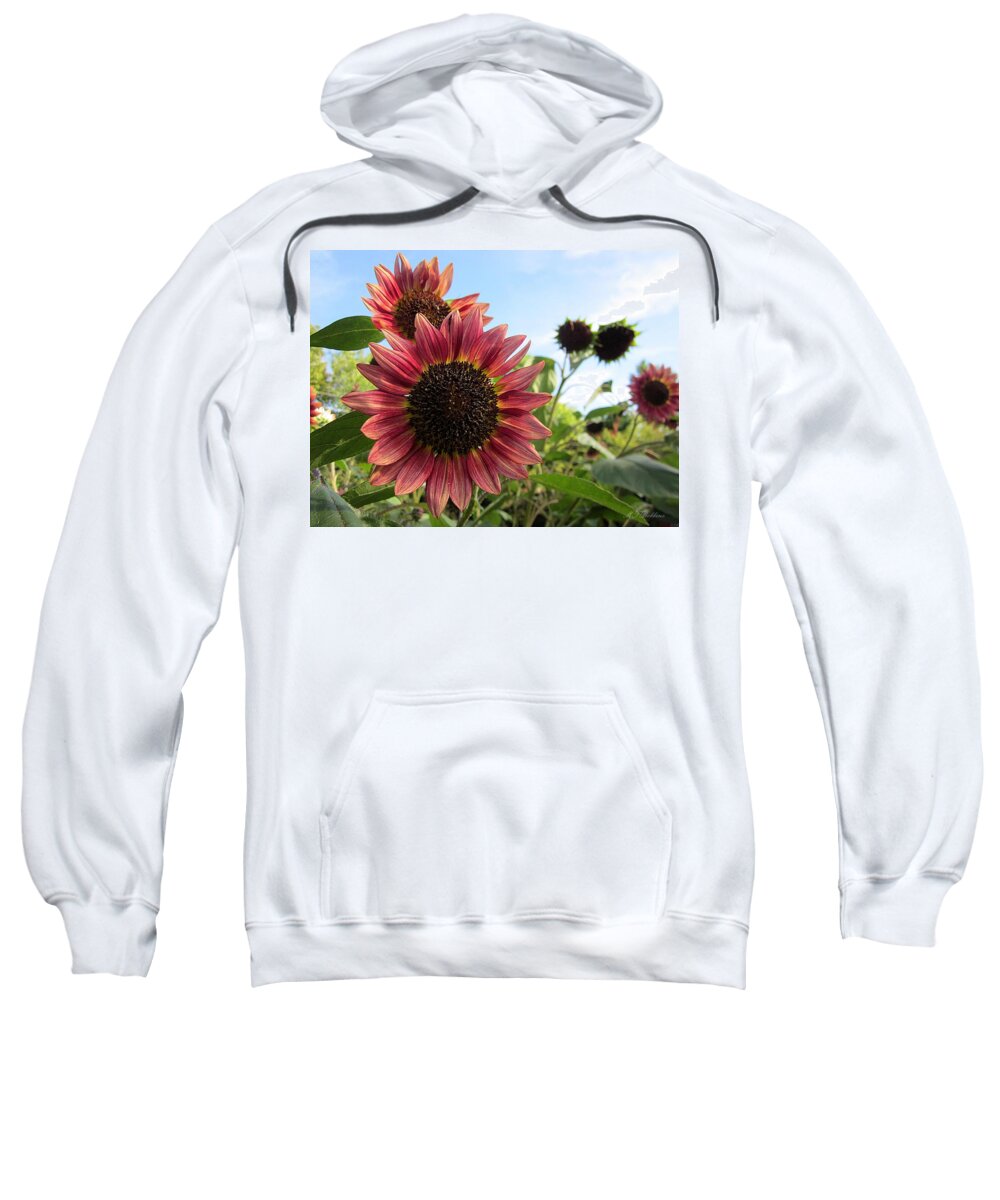 Autumn Beauty Sunflowers Sweatshirt featuring the photograph Sunflowers by MTBobbins Photography
