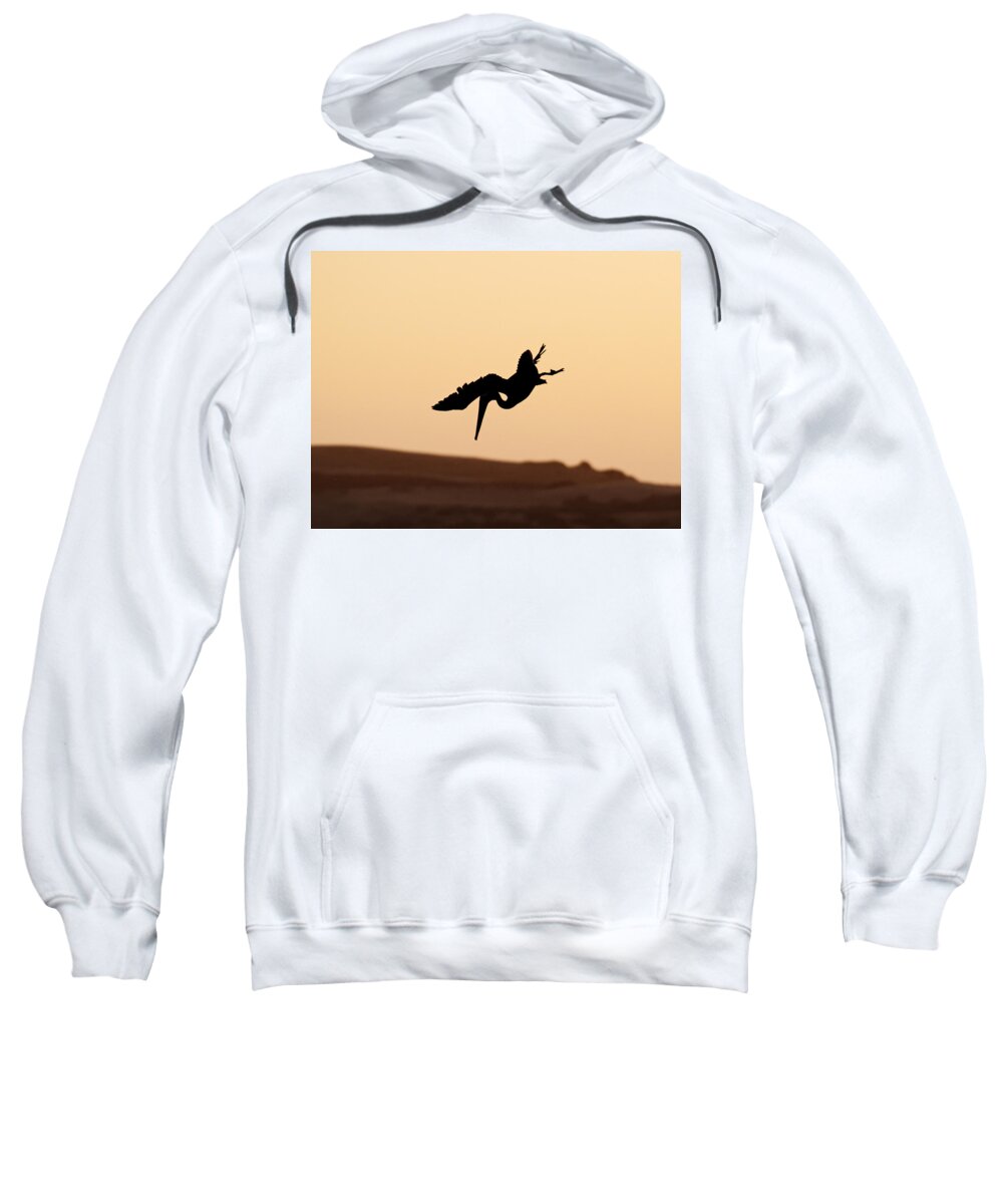 United States Sweatshirt featuring the photograph Taking a Dive by Darin Volpe