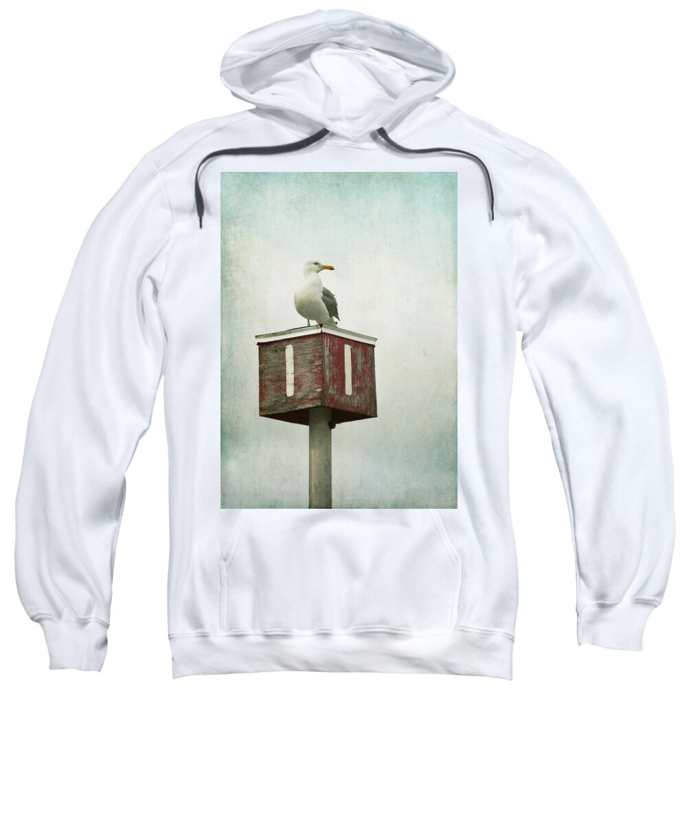 Wingaersheek Beach Sweatshirt featuring the photograph Gull with Blue and Red by Brooke T Ryan