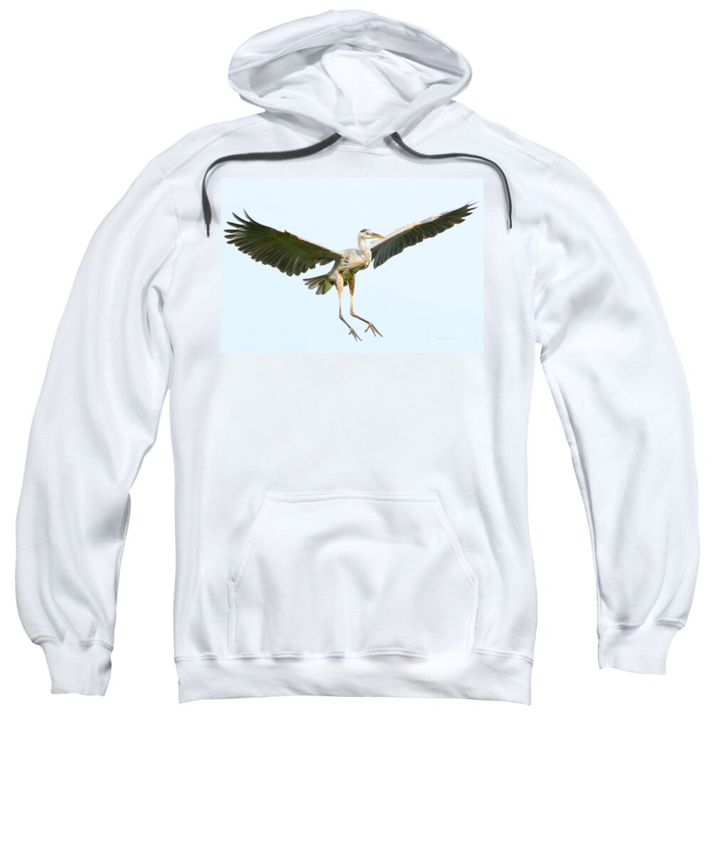 Bird Sweatshirt featuring the photograph The arrival by Heather King