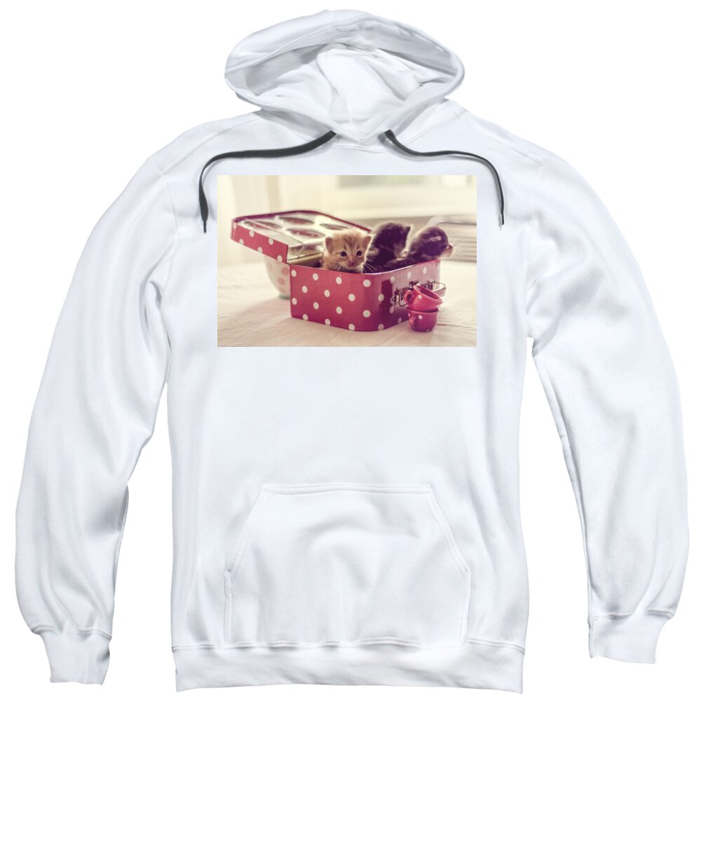 Two Sweatshirt featuring the photograph Three for Tea by Spikey Mouse Photography