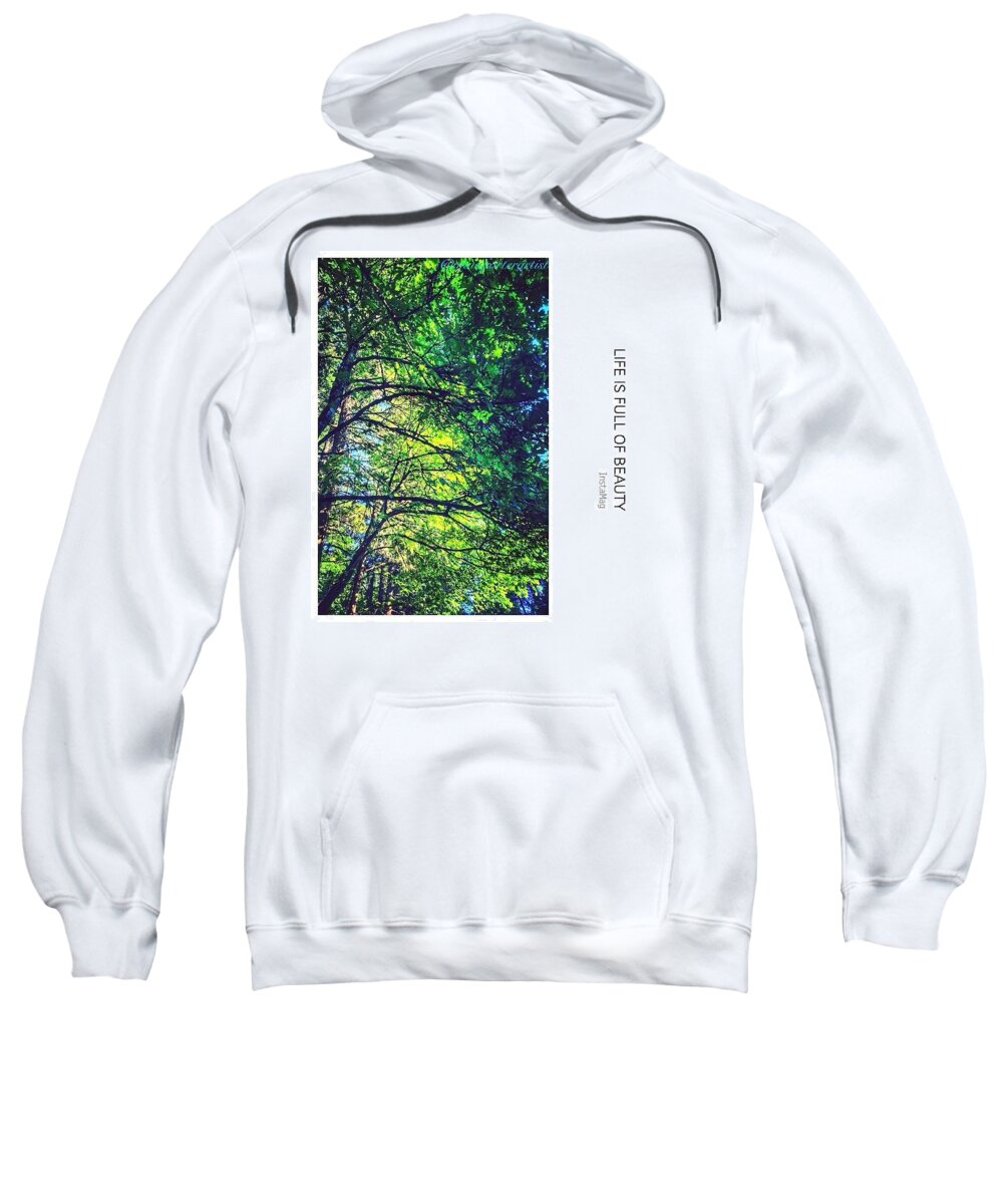 Tree Sweatshirt featuring the photograph Tree Canopy from my Afternoon Walk by Anna Porter