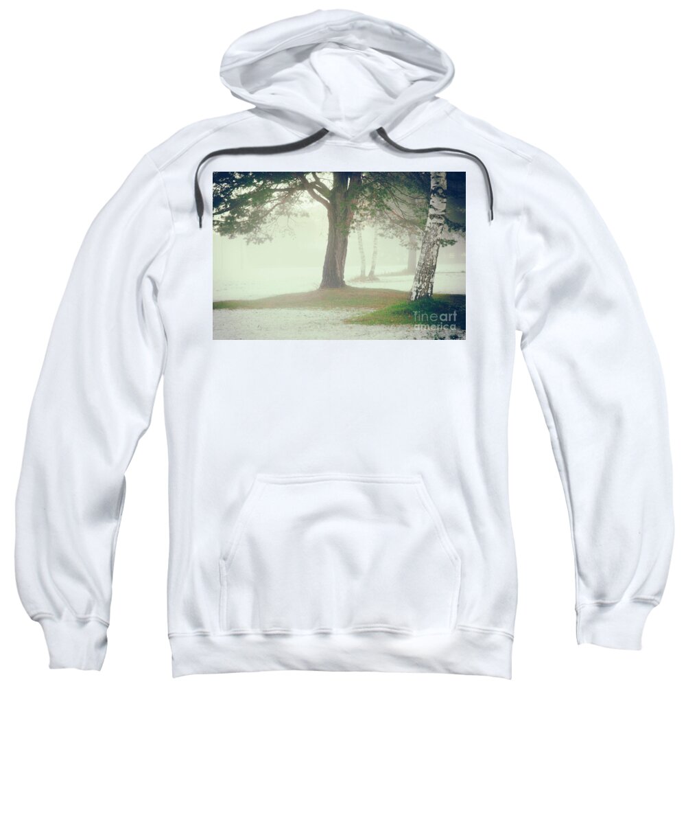 Atmospheric Sweatshirt featuring the photograph Trees in fog by Silvia Ganora