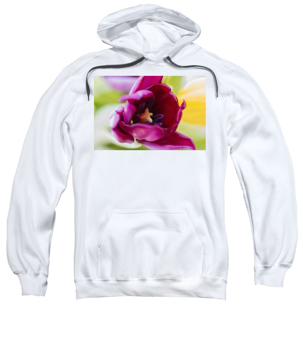 Flora Sweatshirt featuring the photograph Tulip by Paulo Goncalves