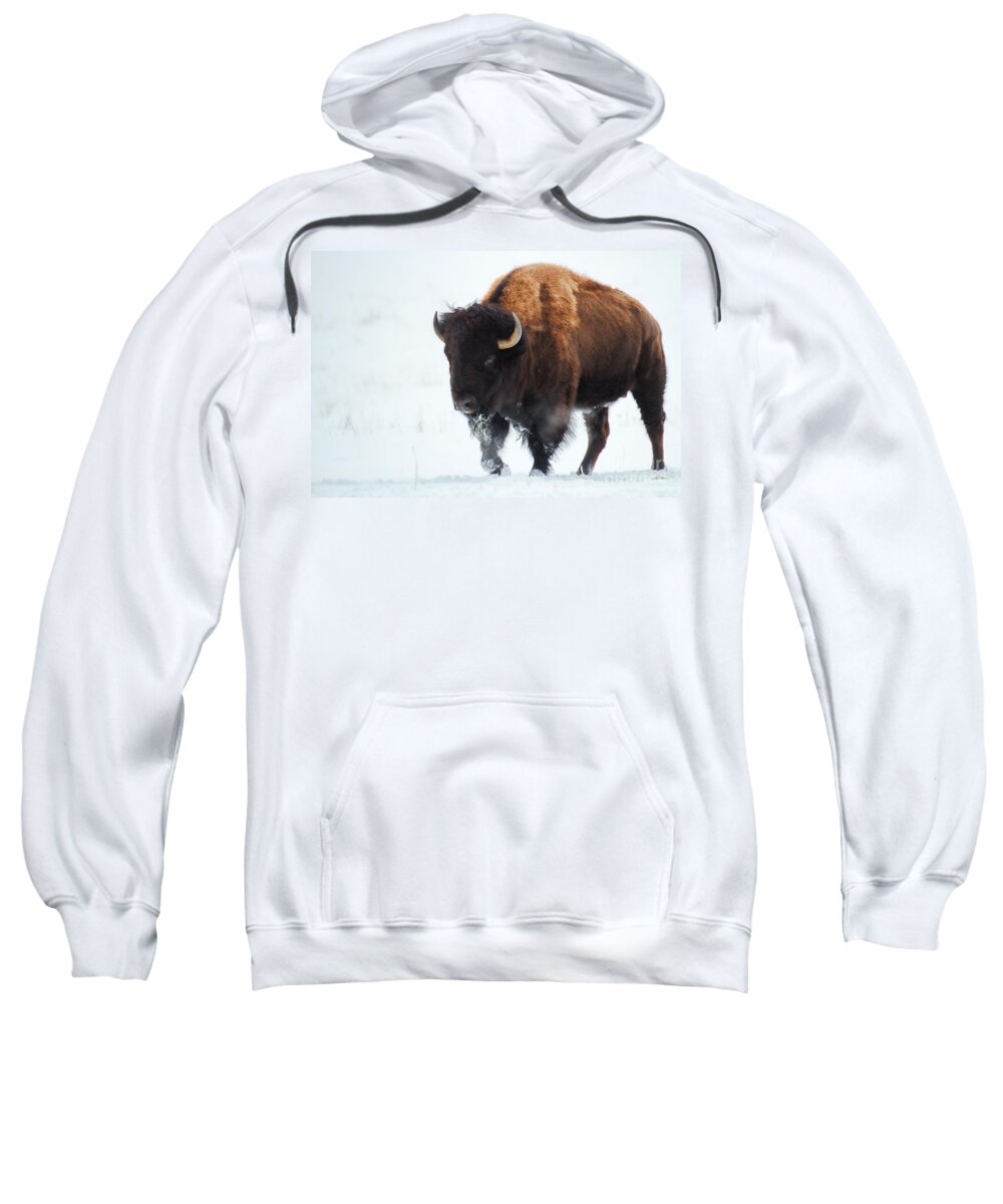 Buffalo Sweatshirt featuring the photograph Waiting for Spring by Jim Garrison