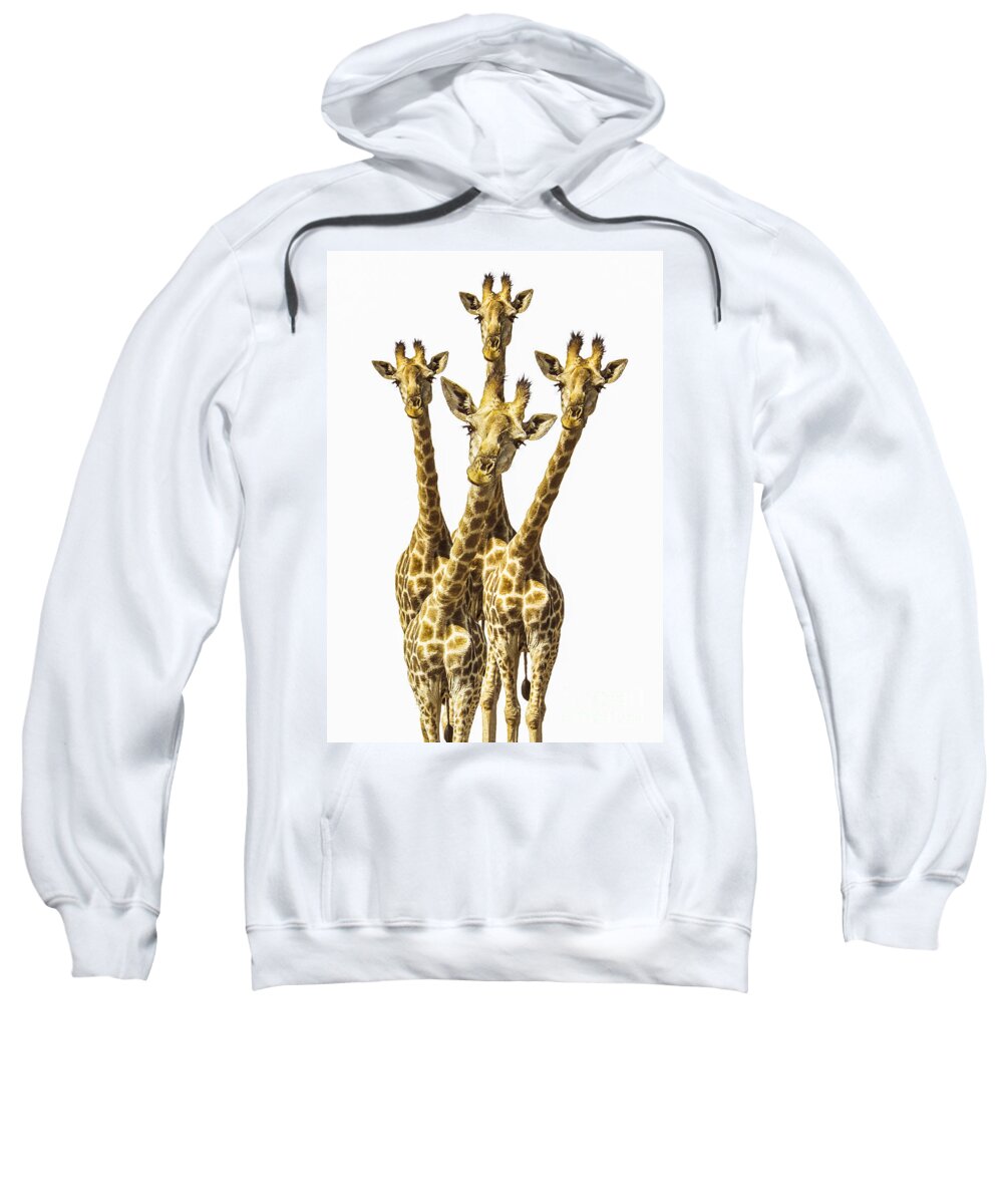 Giraffe Sweatshirt featuring the photograph What are YOU looking at? by Diane Diederich
