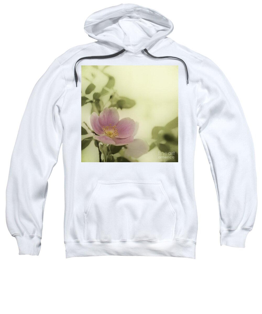 Rosa Acicularis Sweatshirt featuring the photograph Where The Wild Roses Grow by Priska Wettstein
