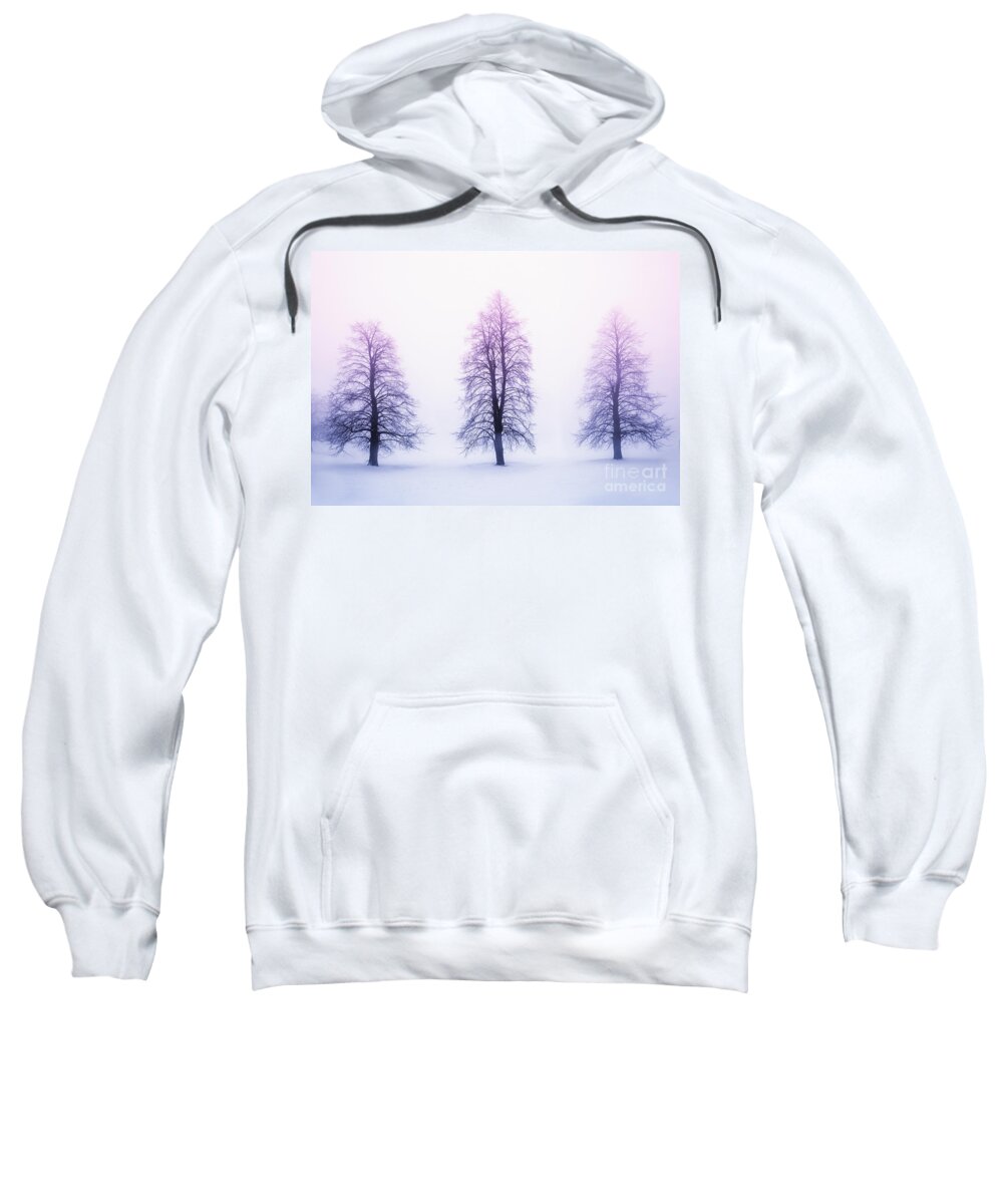 Trees Sweatshirt featuring the photograph Winter trees in fog at sunrise by Elena Elisseeva