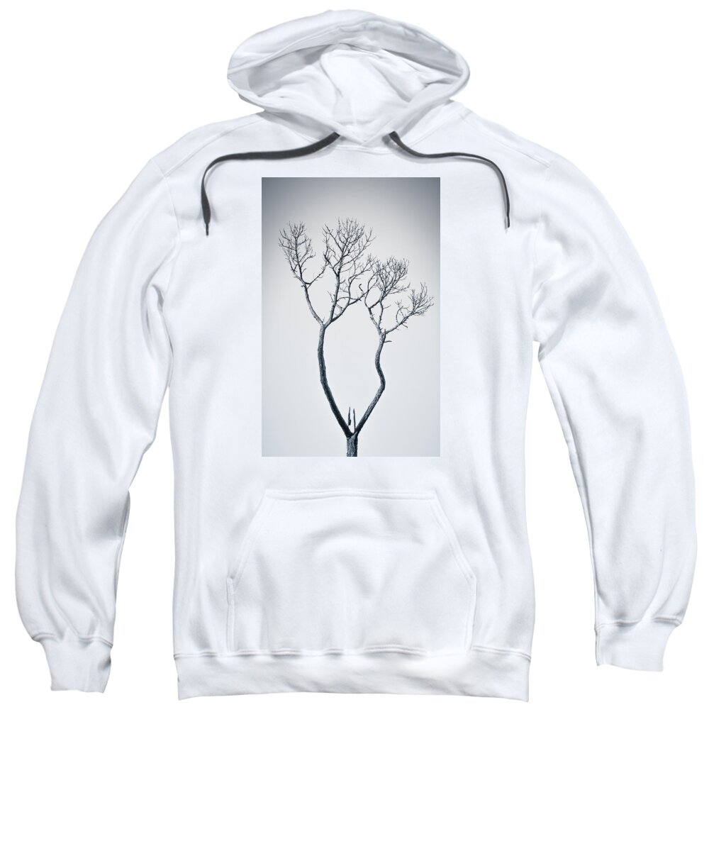Tree Sweatshirt featuring the photograph Wishbone Tree by Carolyn Marshall