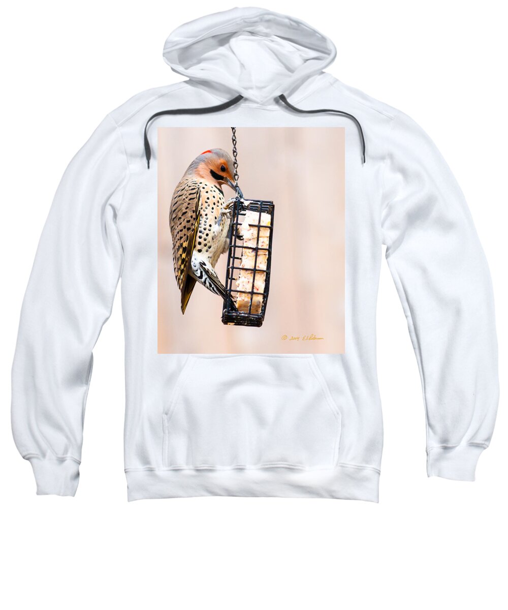 Heron Heaven Sweatshirt featuring the photograph Yellow-shafted Northern Flicker Lunch by Ed Peterson