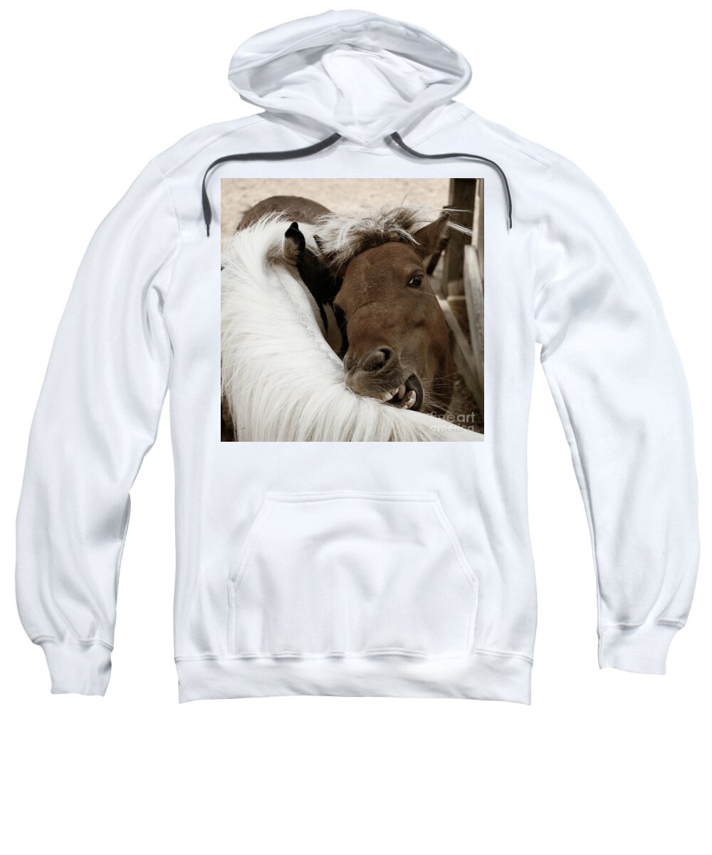 Horses Sweatshirt featuring the photograph You Scratch Mine by Carol Lynn Coronios