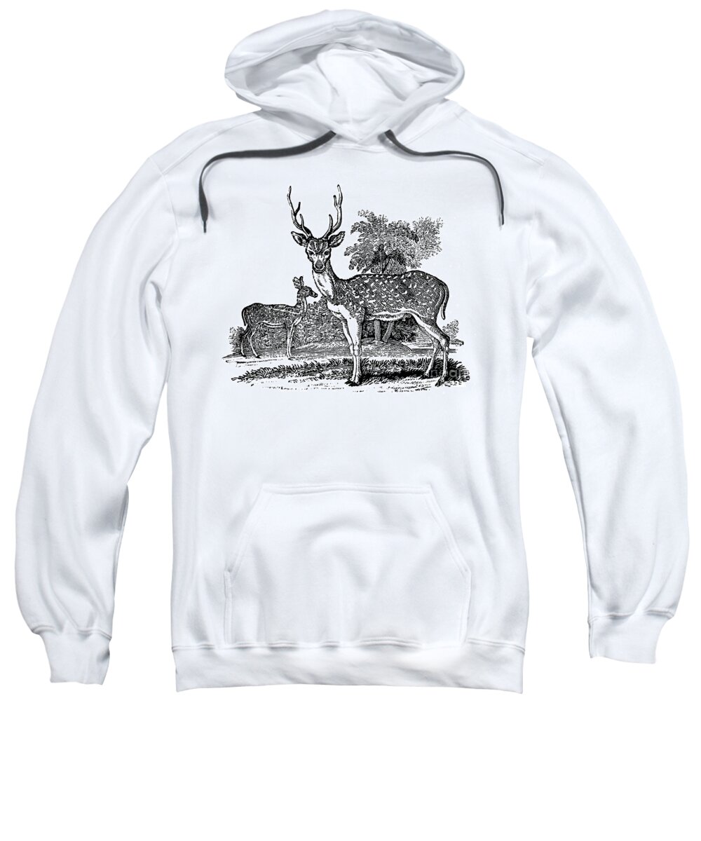 1824 Sweatshirt featuring the photograph Deer #1 by Granger