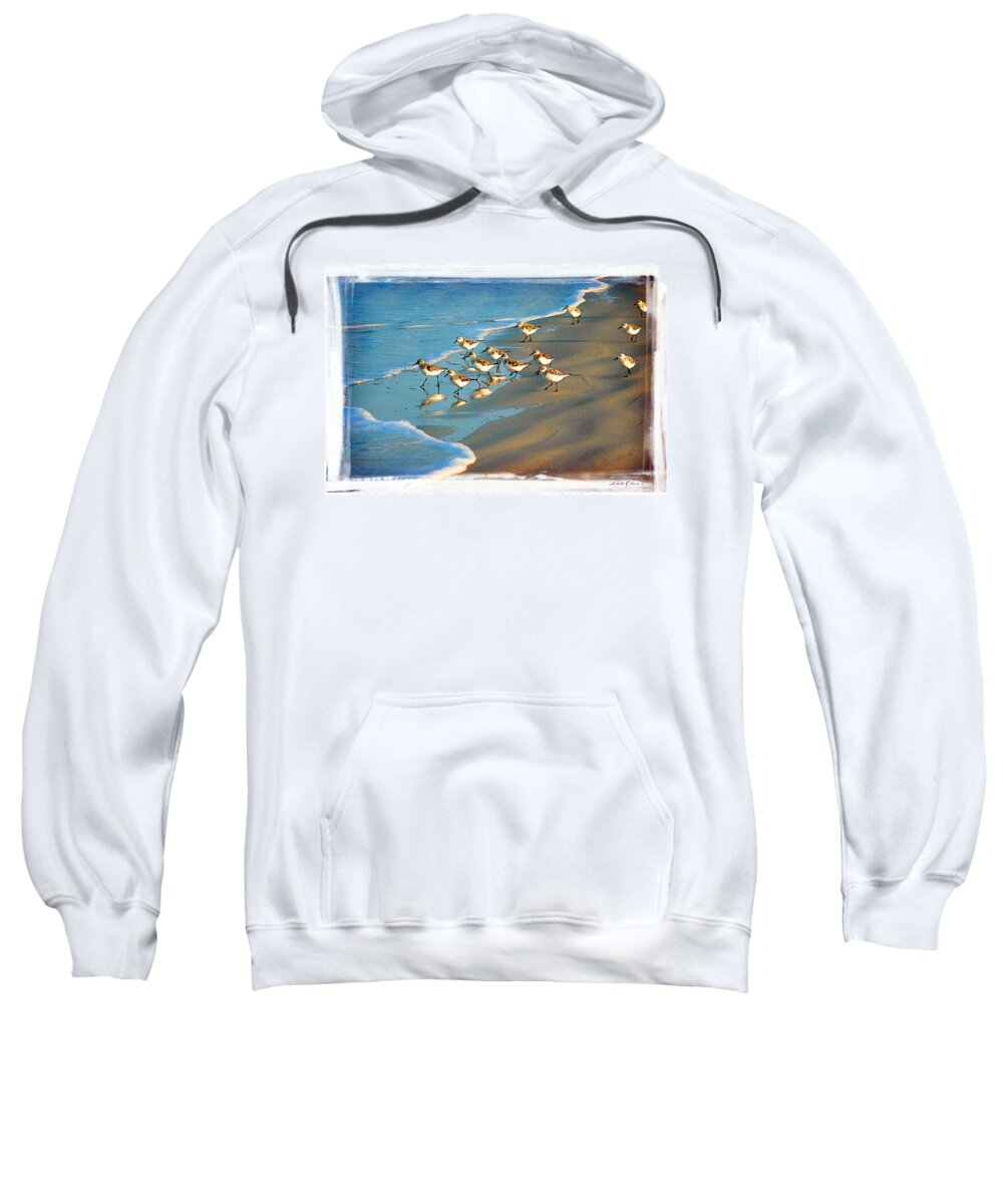 Sand Pipers Sweatshirt featuring the photograph A bevy of pipers by Linda Olsen