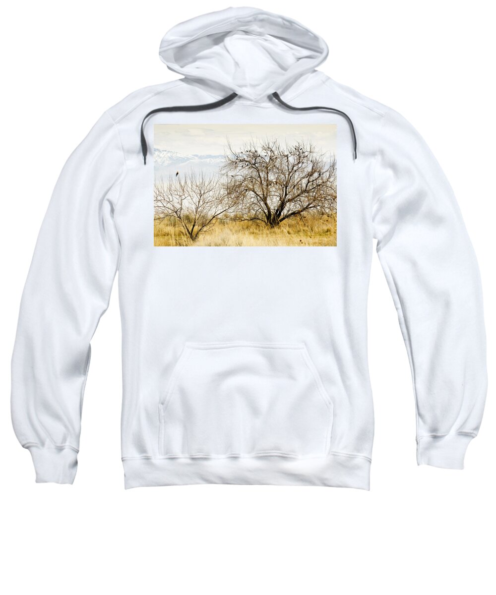 Birds Sweatshirt featuring the photograph Birds of a Feather by Marilyn Hunt