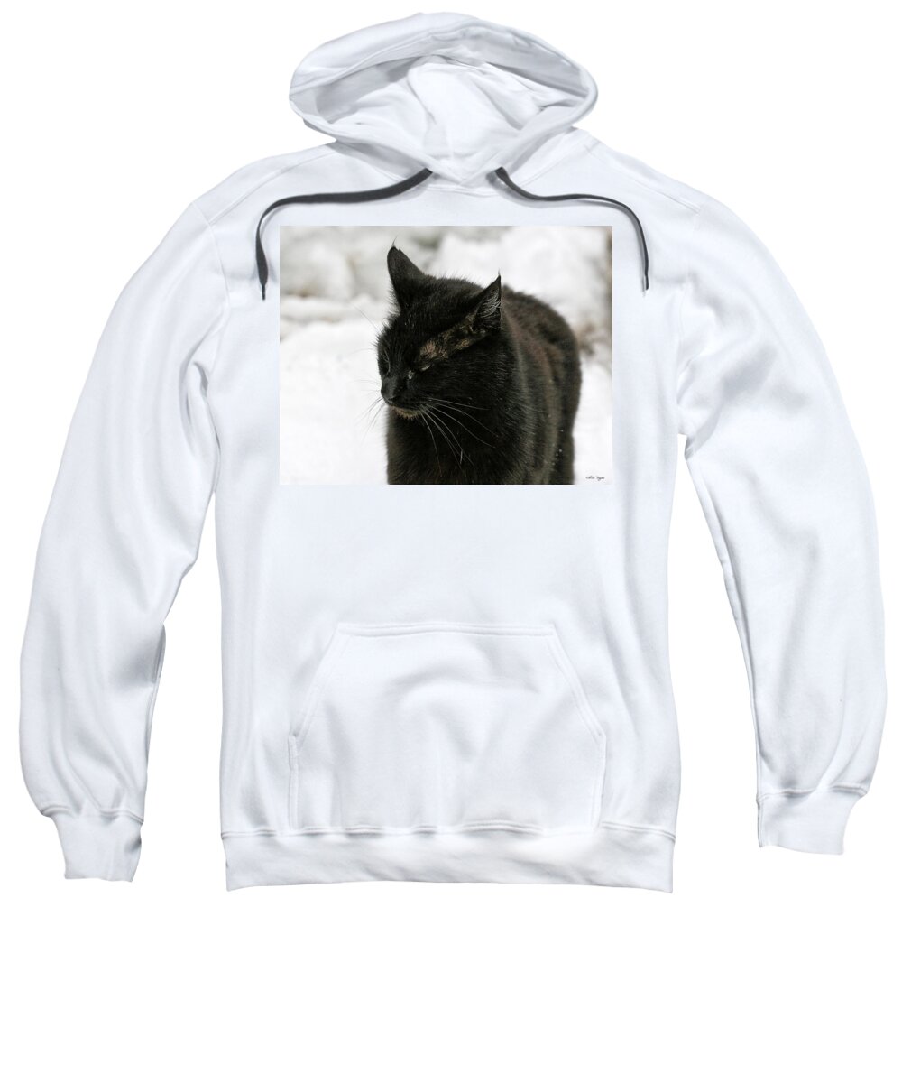 Photo Sweatshirt featuring the photograph Black Cat White Snow by Chriss Pagani