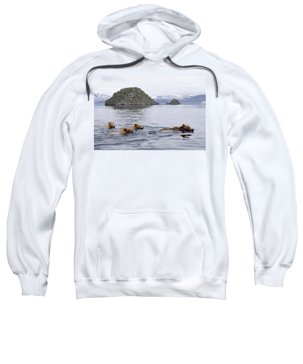 00782083 Sweatshirt featuring the photograph Brown Bear And Cubs in Kamchatka by Sergey Gorshkov