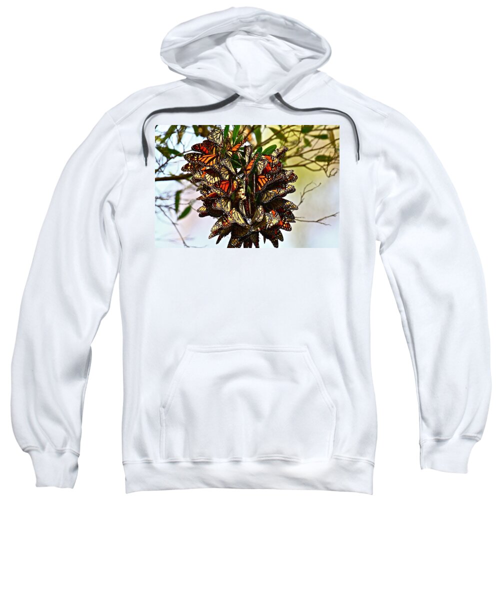 Butterfly Sweatshirt featuring the photograph Butterfly Bouquet by Diana Hatcher