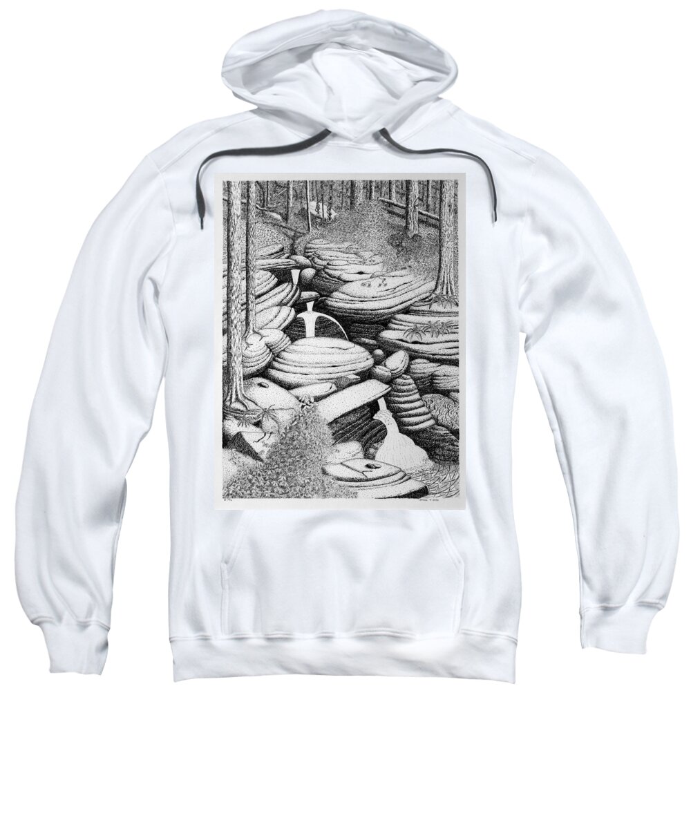 Nature Sweatshirt featuring the drawing Cascade In Boulders by Daniel Reed
