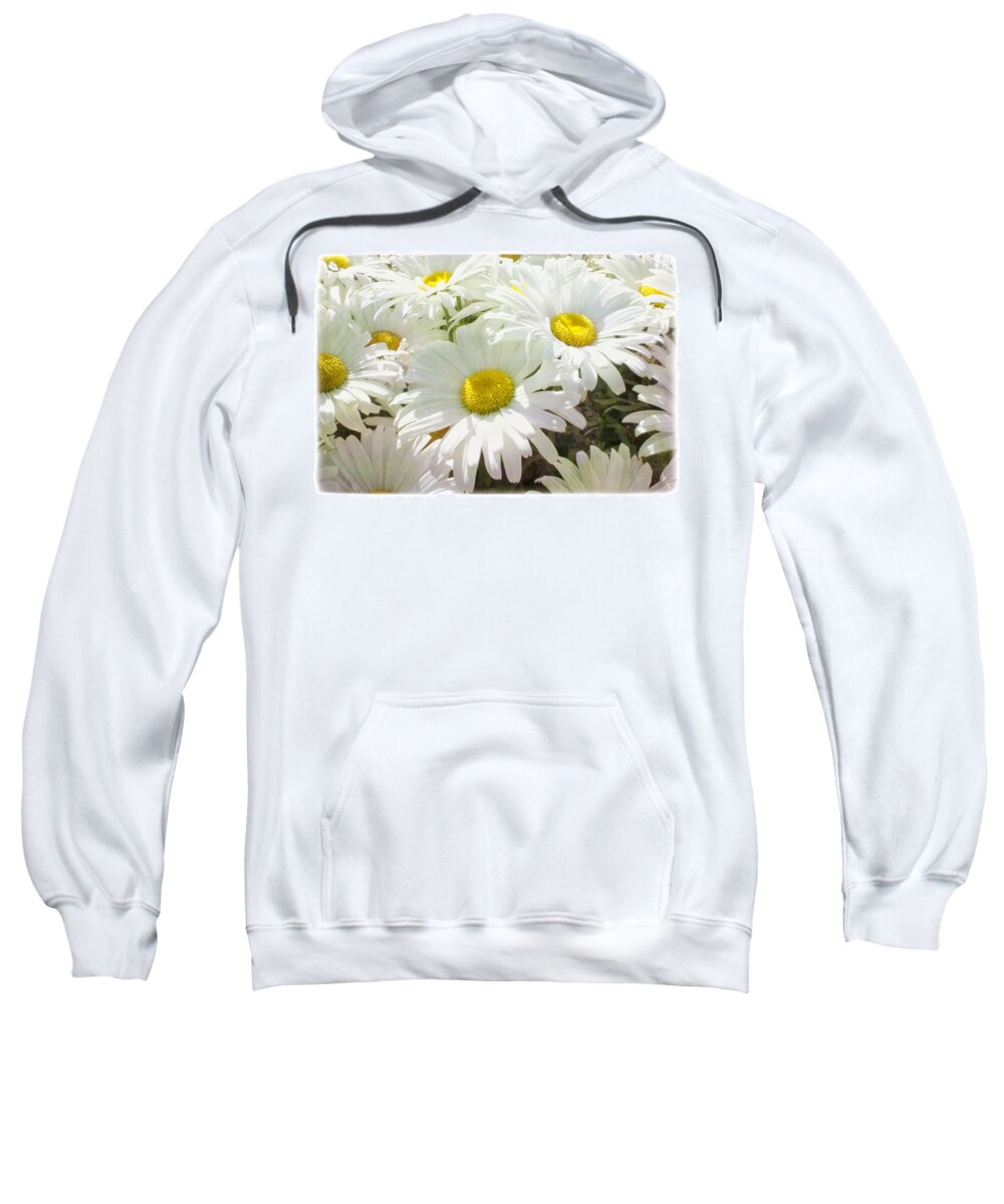 Daisies Sweatshirt featuring the photograph Daisy Summer Garden by Linda Dunn