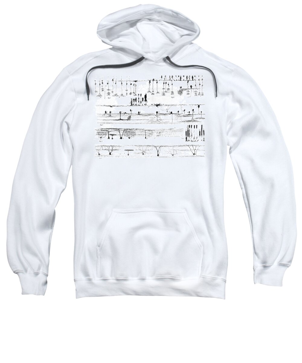 Science Sweatshirt featuring the photograph Nerve Structure Of The Retina by Science Source