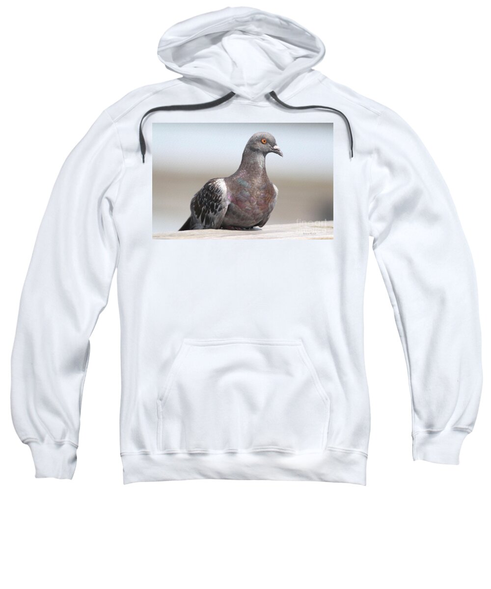 Pigeon Sweatshirt featuring the photograph Perched On The The Dock Of The Bay by Deborah Benoit