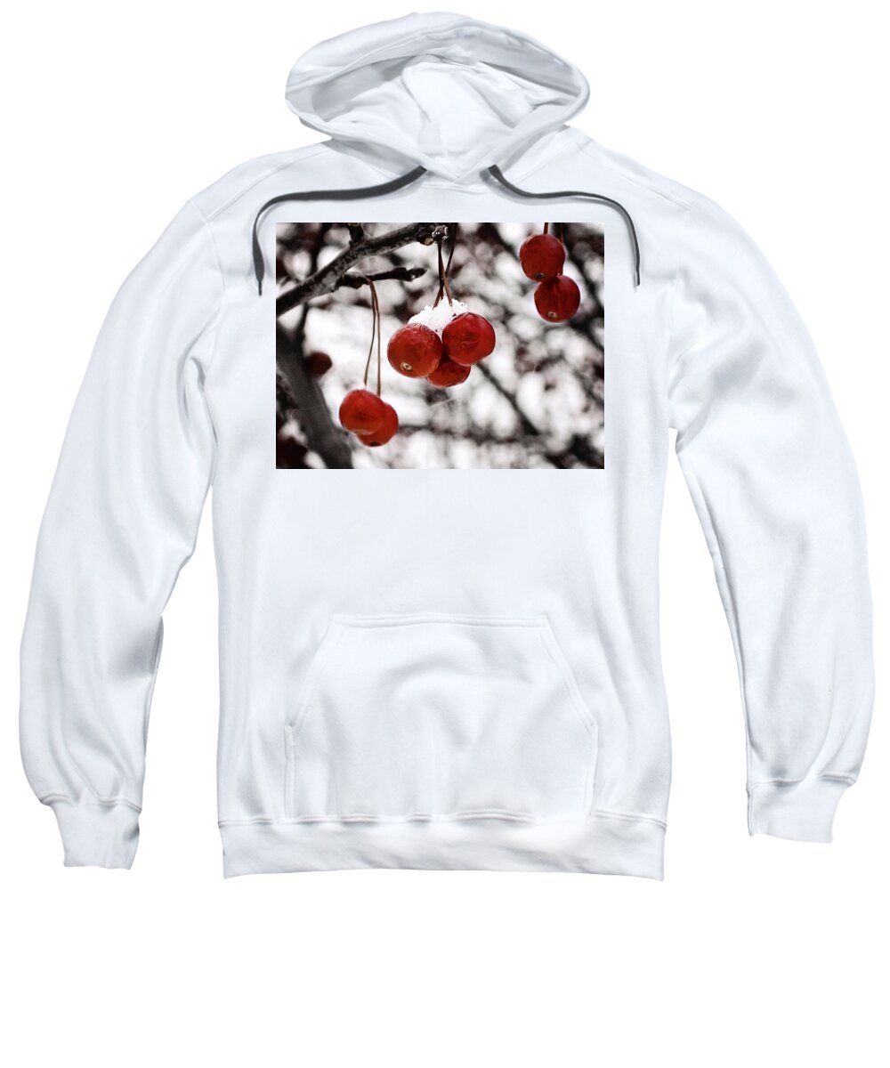 Red Sweatshirt featuring the photograph Red Winter Berries by Laura Kinker