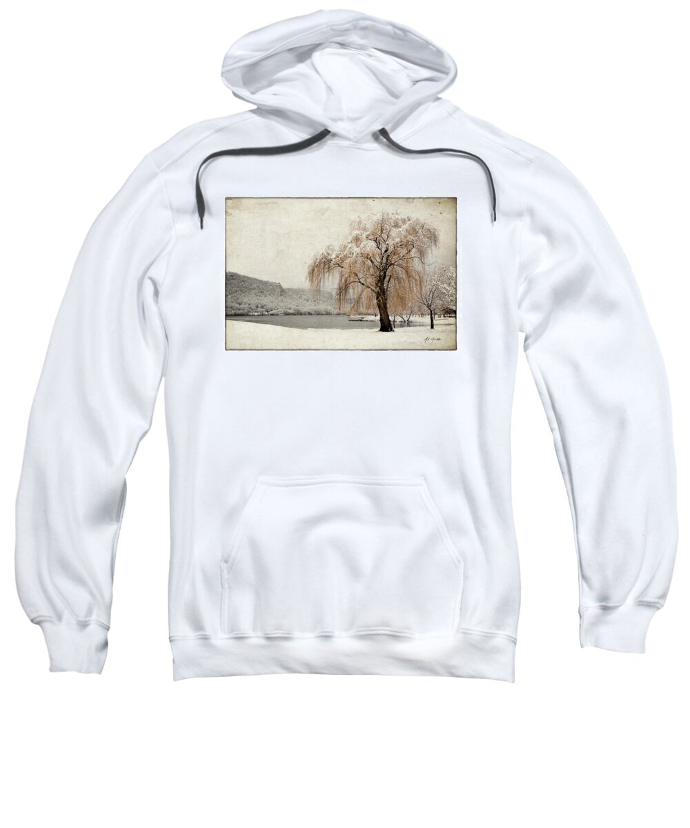 Tree Sweatshirt featuring the photograph Snow Tree 1 by Al Mueller