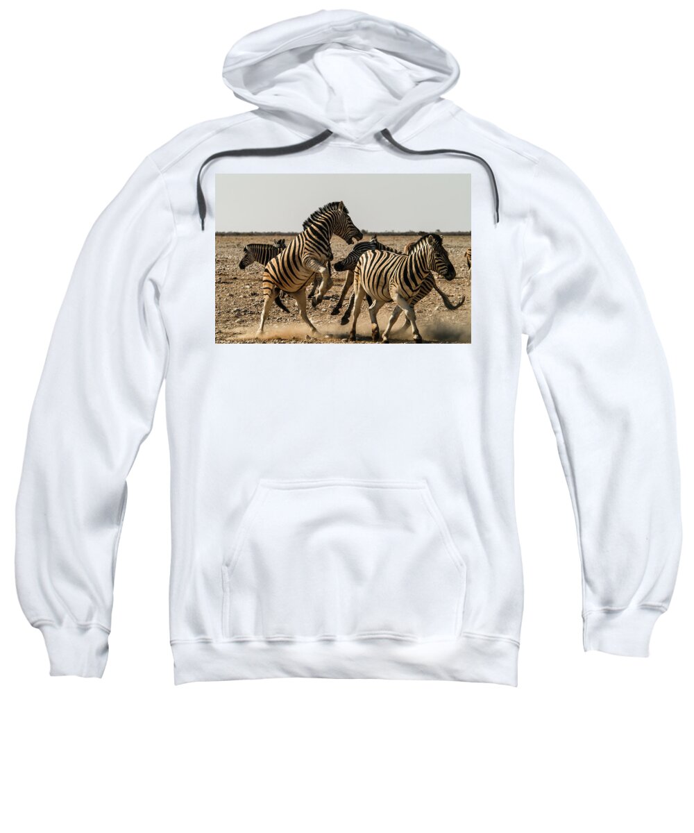 Action Sweatshirt featuring the photograph Sour stripes 3 by Alistair Lyne