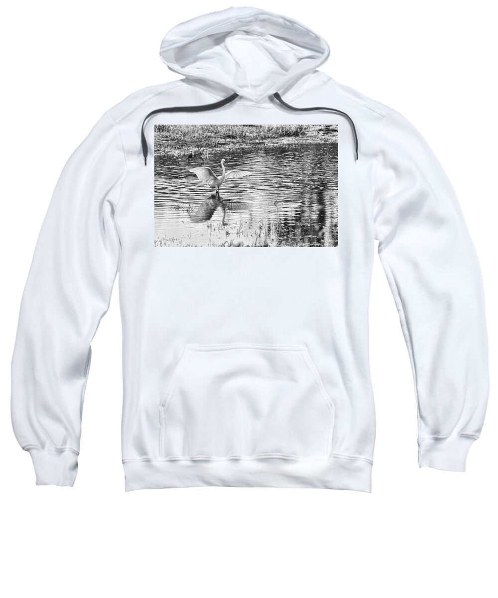 Egret Sweatshirt featuring the photograph Walking on Water by Douglas Barnard