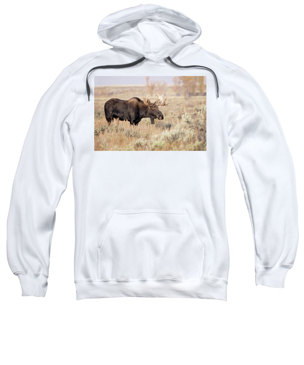 Moose Sweatshirt featuring the photograph Bull Moose #1 by Eilish Palmer