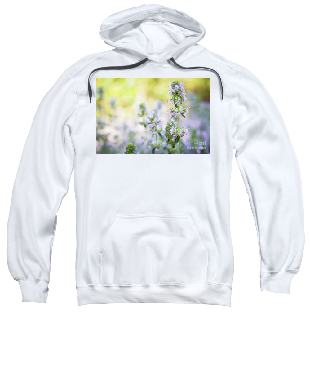 Thyme Sweatshirt featuring the photograph Flowering thyme 1 by Elena Elisseeva