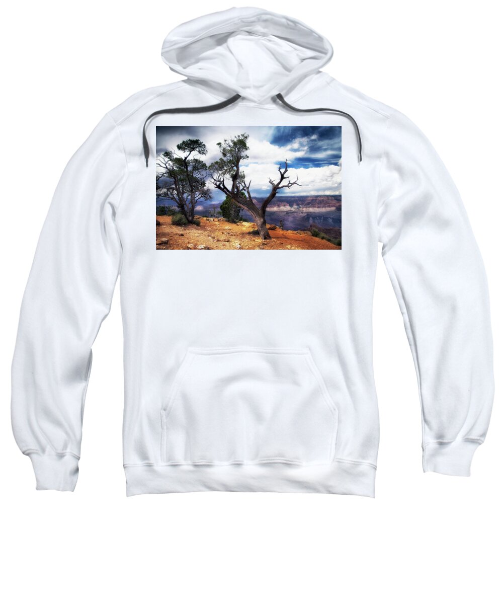 Grand Canyon Sweatshirt featuring the photograph Grand Canyon #1 by James Bethanis