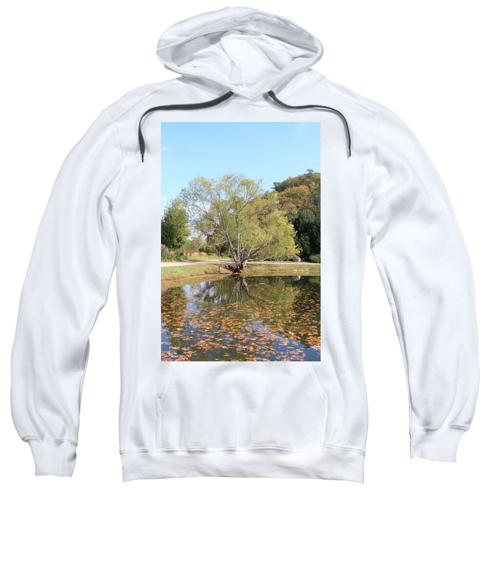 Tree Sweatshirt featuring the photograph Reflections #1 by Karen Ruhl