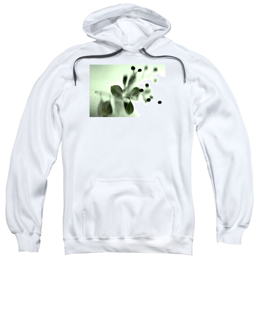 Leaves Sweatshirt featuring the photograph Touch #1 by Mark Ross