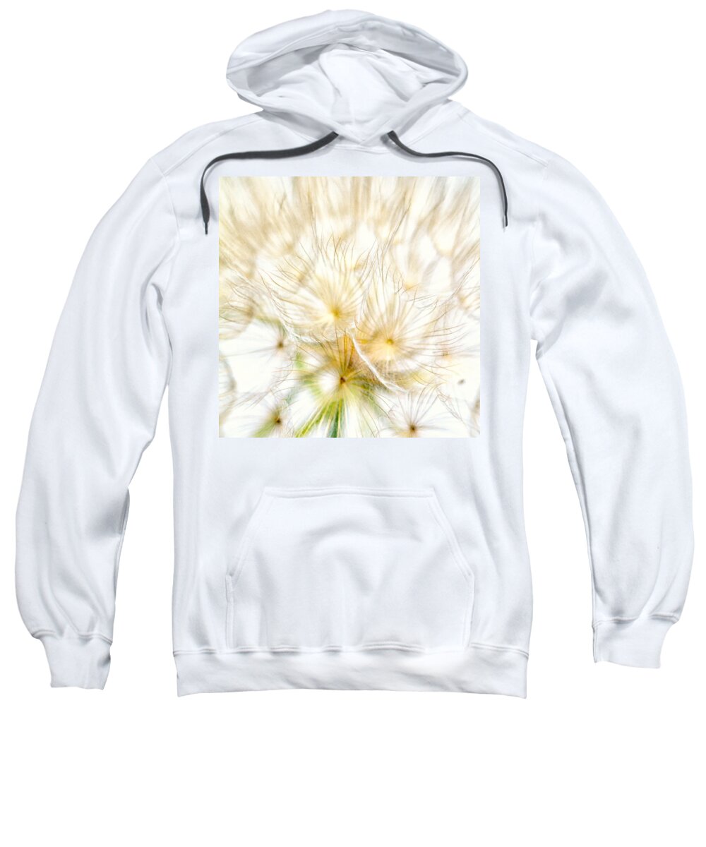 Nature Sweatshirt featuring the photograph Dandelion #2 by Stelios Kleanthous