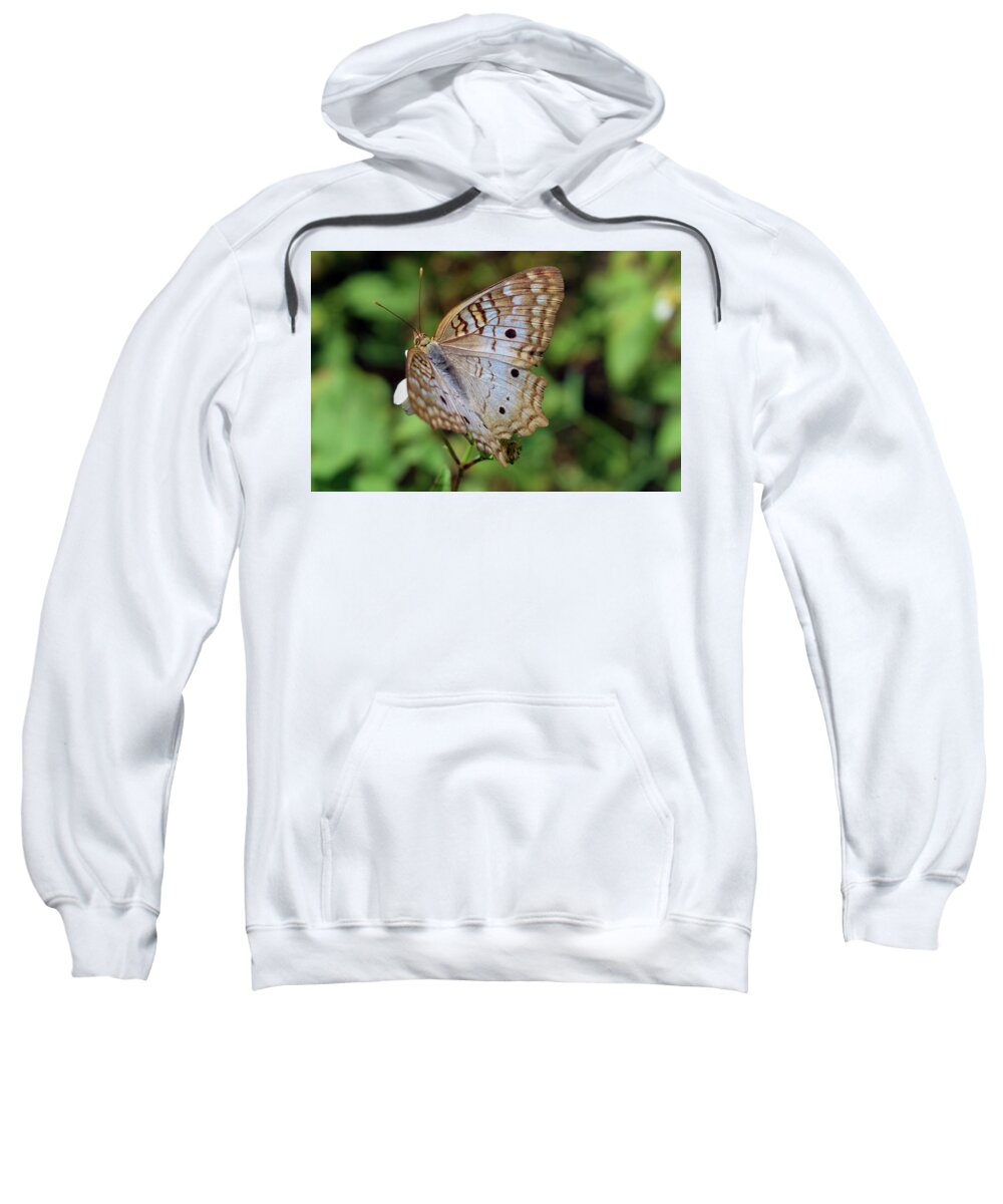 Photograph Sweatshirt featuring the photograph White Peacock Butterfly #2 by Larah McElroy