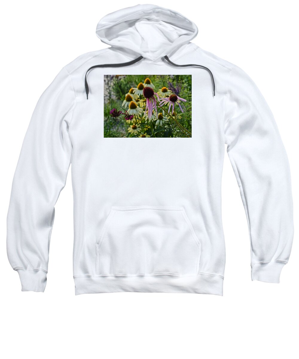 Coneflowers Sweatshirt featuring the photograph 2015 Summer at the Garden Coneflowers by Janis Senungetuk